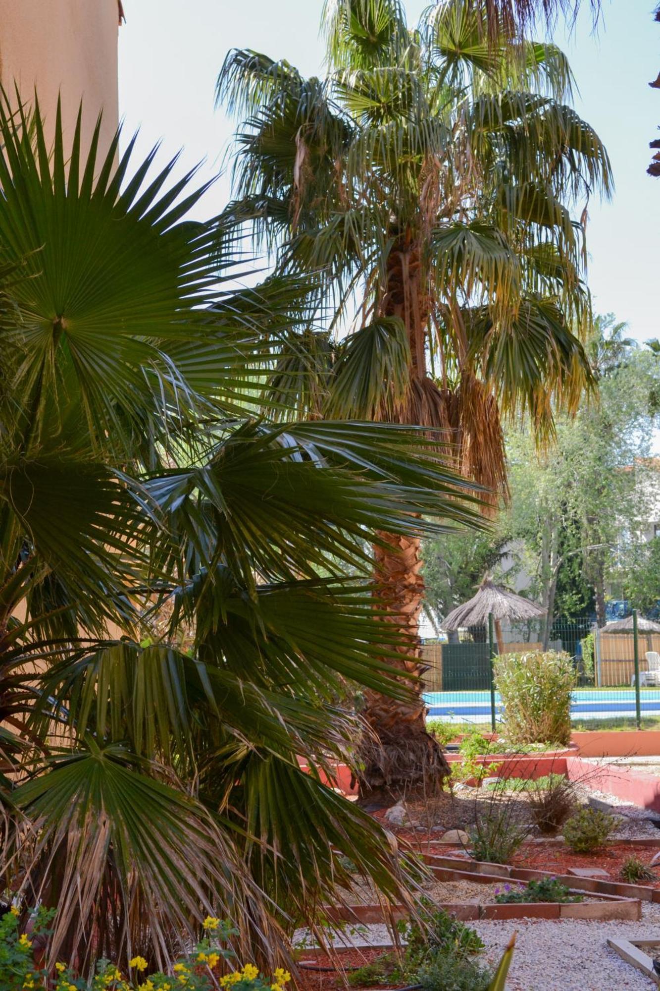 Malibu Village Canet-en-Roussillon Exteriér fotografie